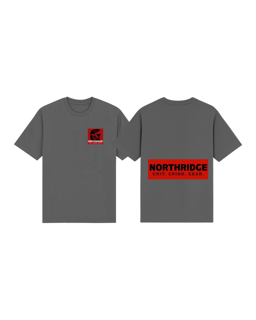 Northridge Oversized Shirt — Center Back — 2