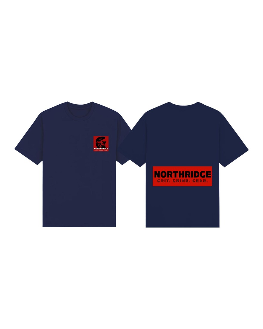 Northridge Oversized Shirt — Center Back — 3