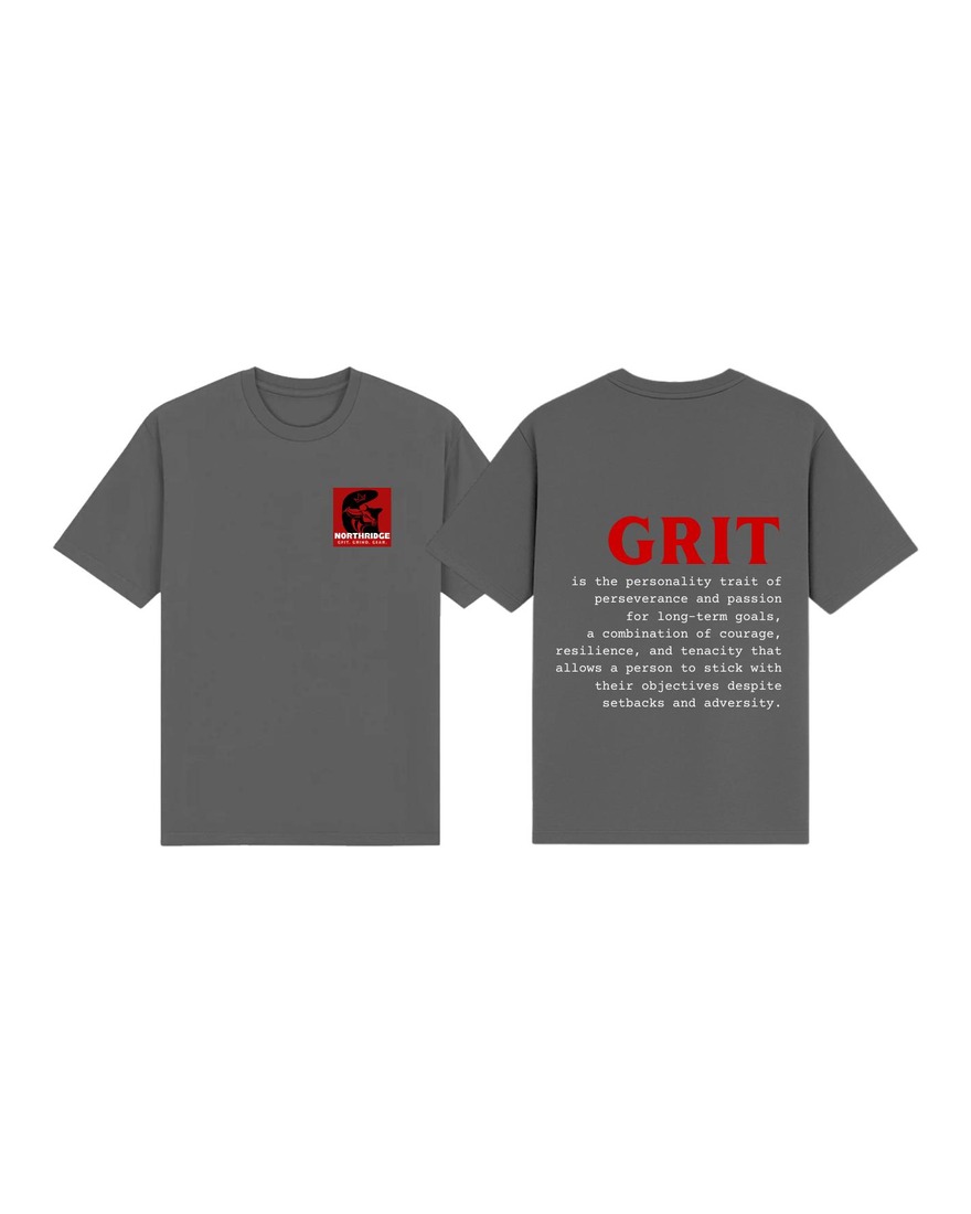 Northridge Oversized Shirt — Grit — 2