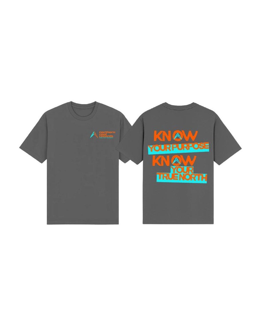 Records Premium Tee — Stripes Tagline — 4